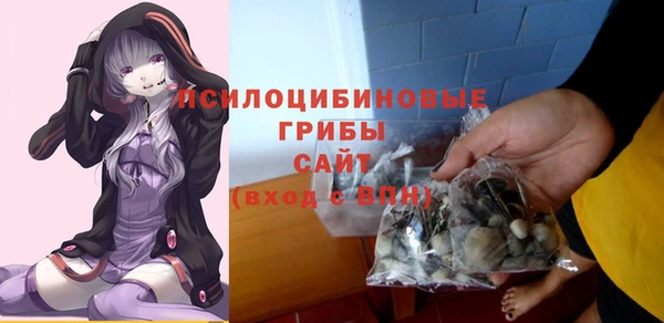 трава Армянск