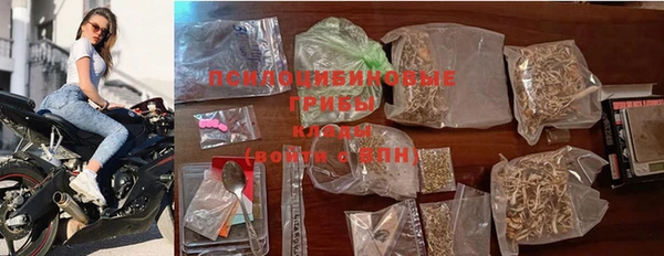 герыч Арсеньев