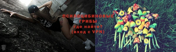 герыч Арсеньев