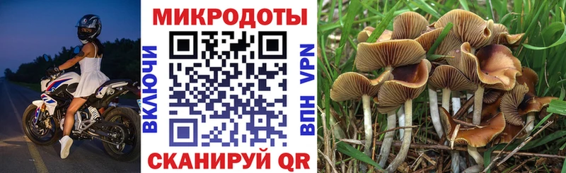 Галлюциногенные грибы Cubensis Горнозаводск