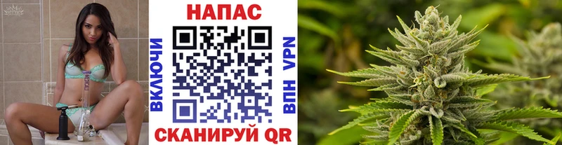 купить Горнозаводск Канабис семена